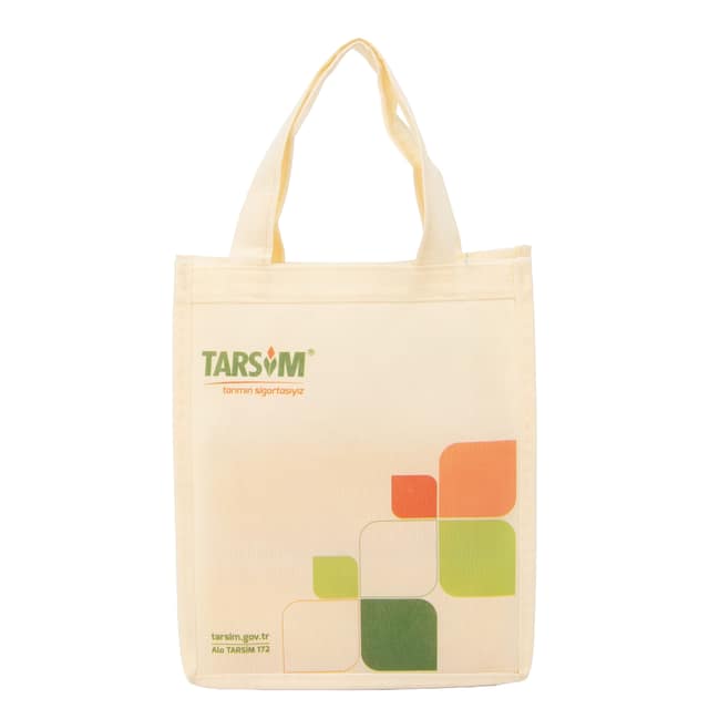 Nonwoven Bag DT21