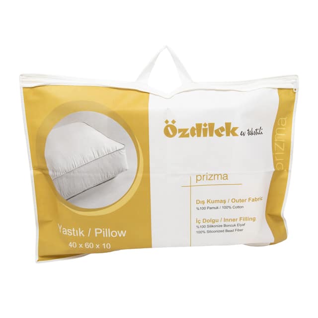 Nonwoven Bag DT23
